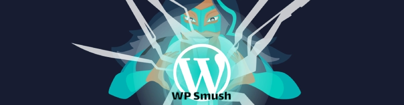 نصب افزونه WP Smush